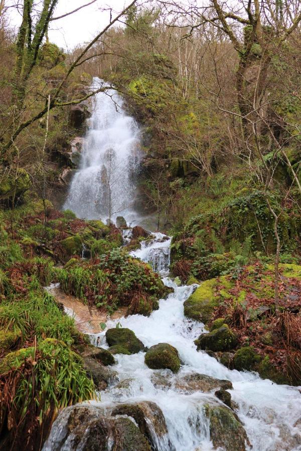 Penzion Quinta Da Riba Ma Santa Leocadia Exteriér fotografie
