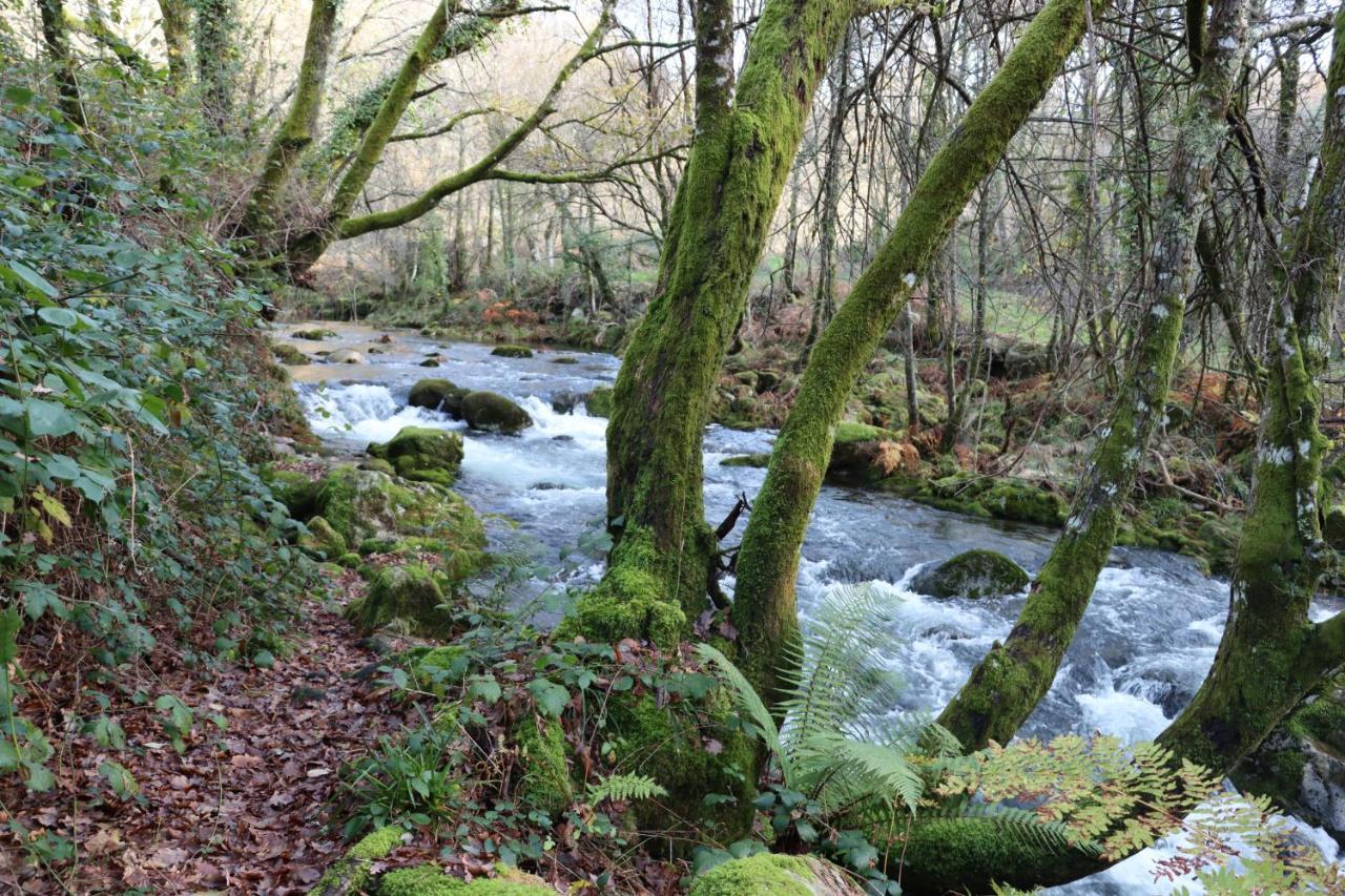 Penzion Quinta Da Riba Ma Santa Leocadia Exteriér fotografie